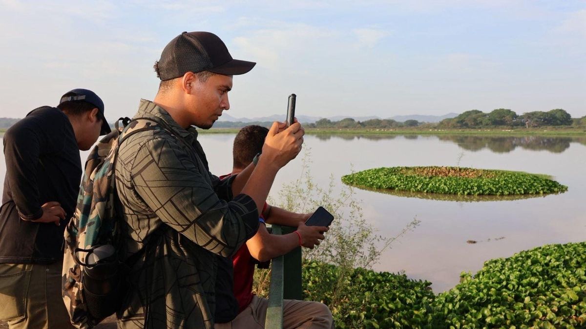 Herrera: Observadores se unen al conteo global de aves