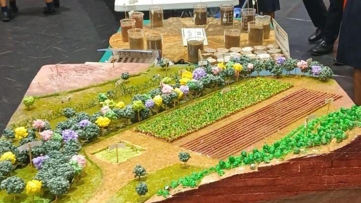 Estudiantes de Panamá Oeste idean eco-fincas sostenibles