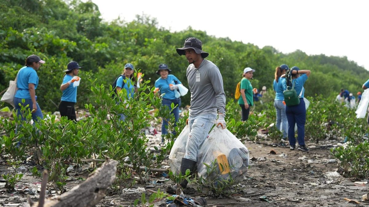 Ciudad limpia: 27 toneladas de basura recogidas en Costa del Este