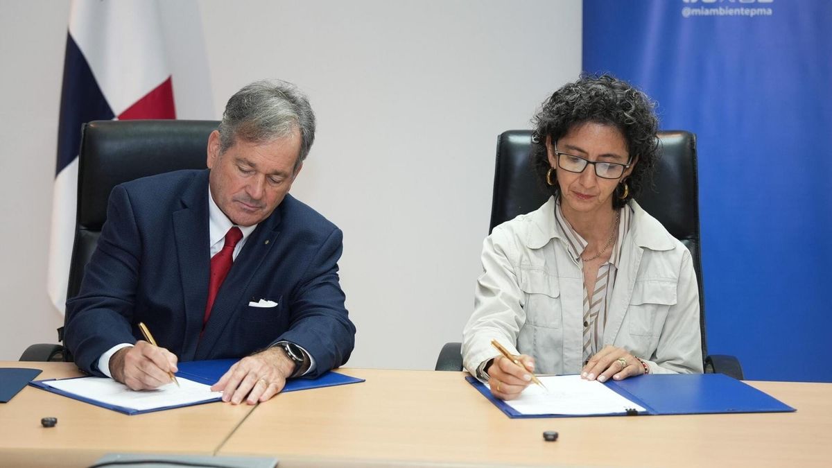 Panamá protege tiburones martillo en el Pacífico