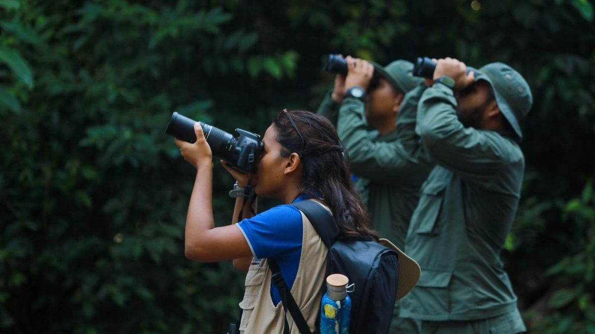 Panamá es líder global en conteo de aves