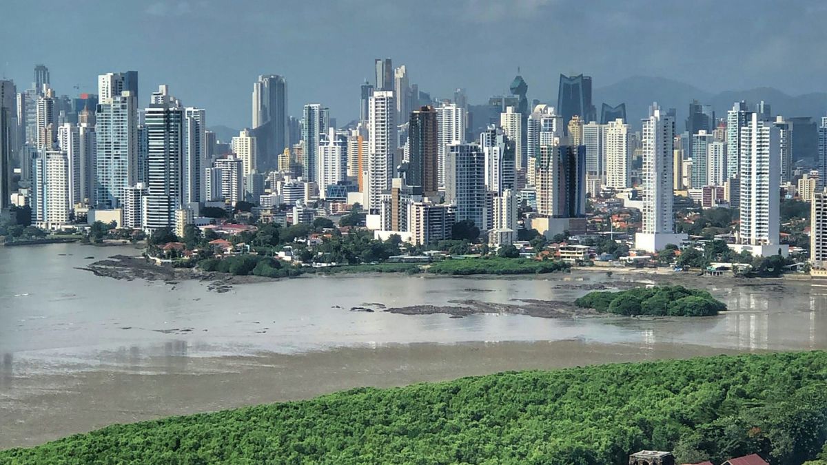 El mercado vertical de Panamá se parte en K: premium sube, económico cae