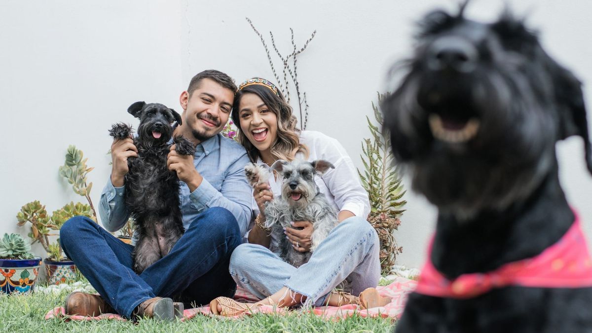 La Generación Z está transformando la industria de mascotas: gasta más que cualquier otra generación