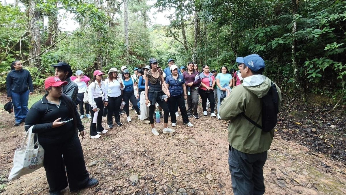 Universitarios exploran biodiversidad en Altos de Campana