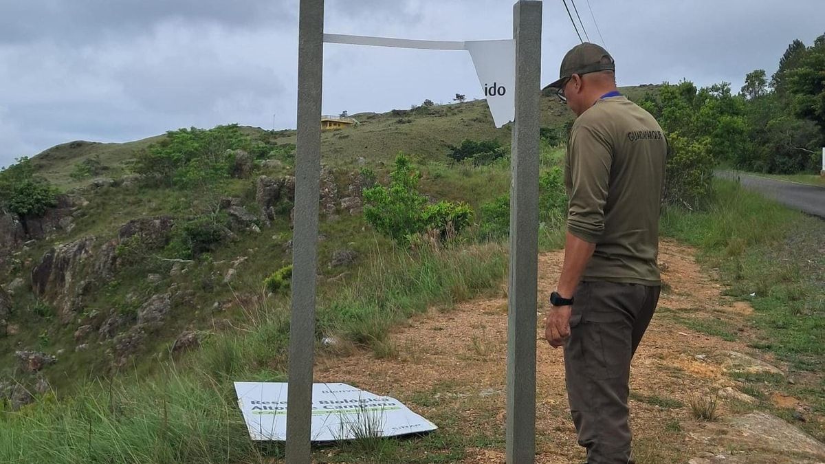 Vandalismo en Altos de Campana: MiAMBIENTE pide cuidar el parque