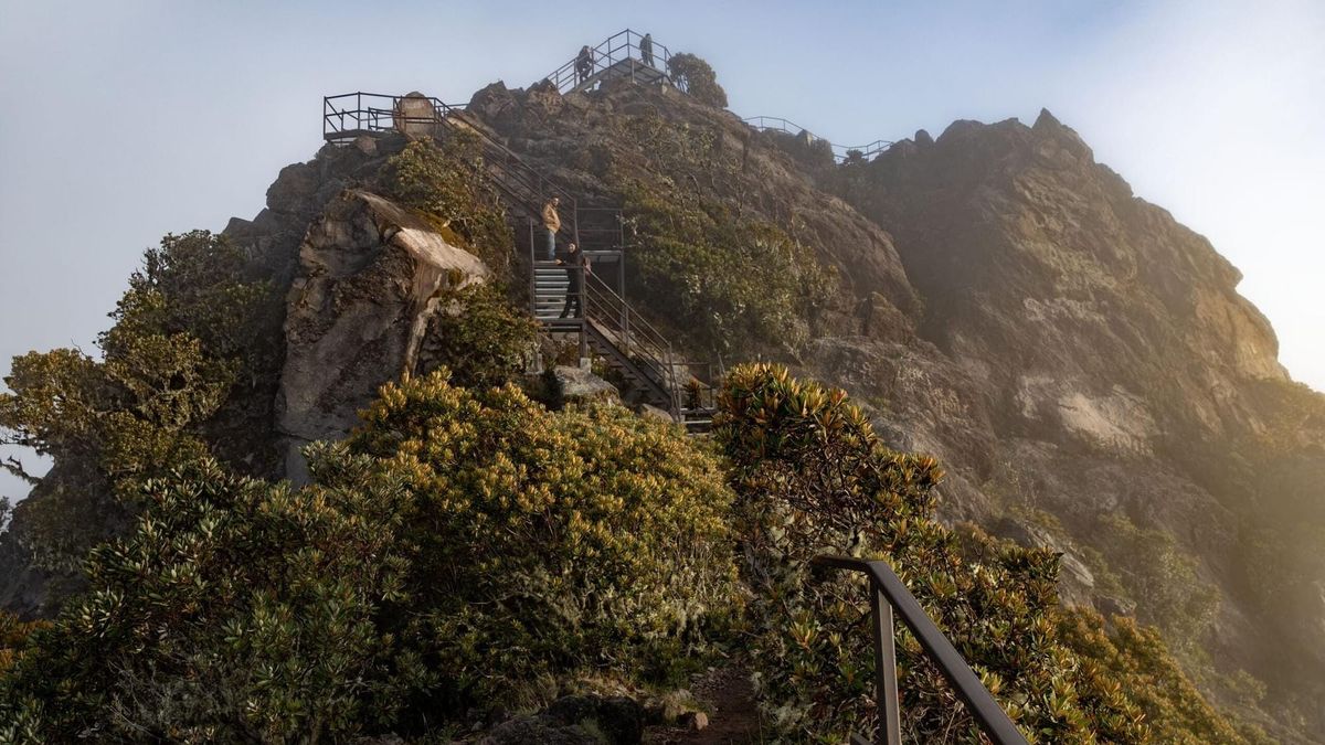 Volcán Barú celebra 50 años como Parque Nacional