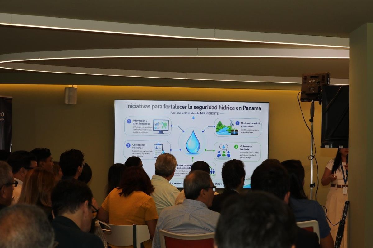 MiAMBIENTE detalla plan hídrico en foro de APEDE