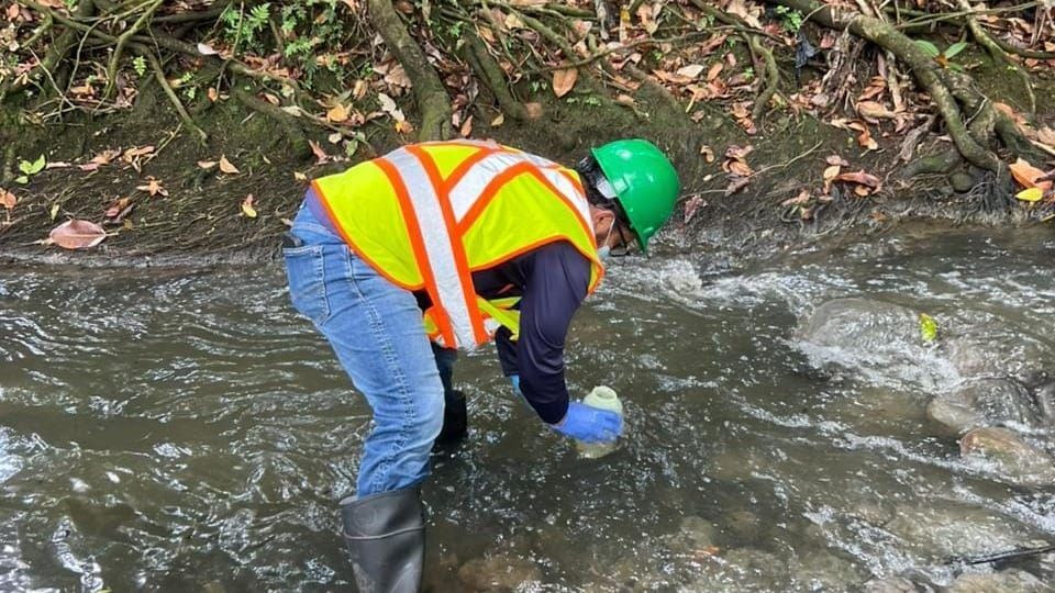 MiAMBIENTE investiga derrame de combustible en río Capira