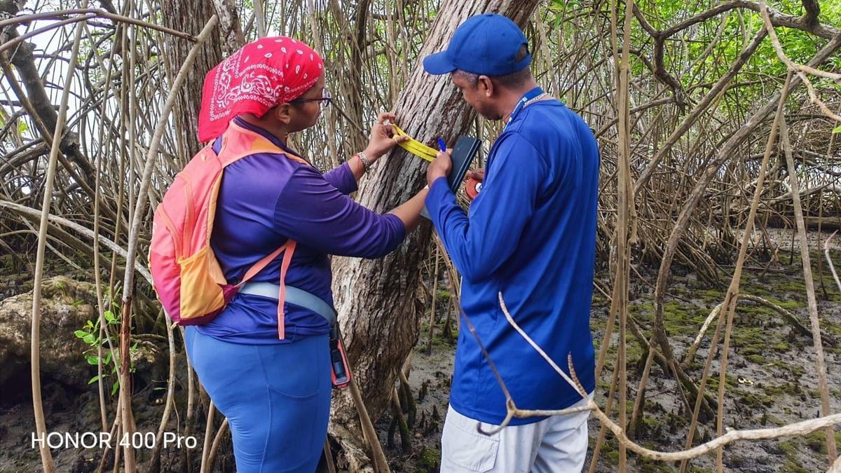 MiAMBIENTE explora costas de Colón para conservación