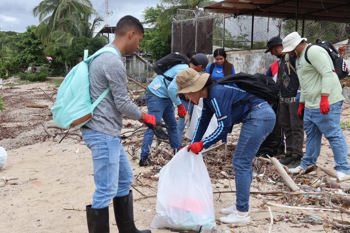 Limpieza masiva de manglar en Veracruz busca retirar 2 toneladas