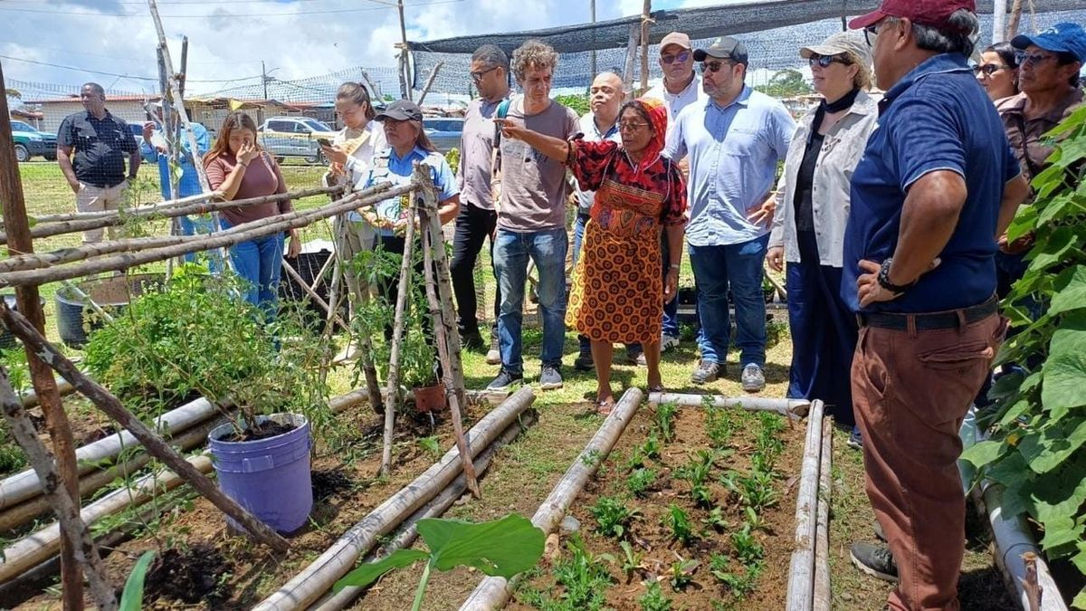 Guna Yala: Proyecto de agroecología mejora seguridad alimentaria