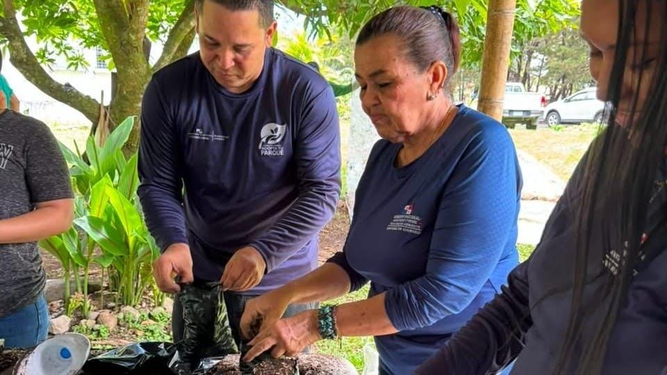 Vivero en Boquete: MiAMBIENTE y voluntarios impulsan reforestación