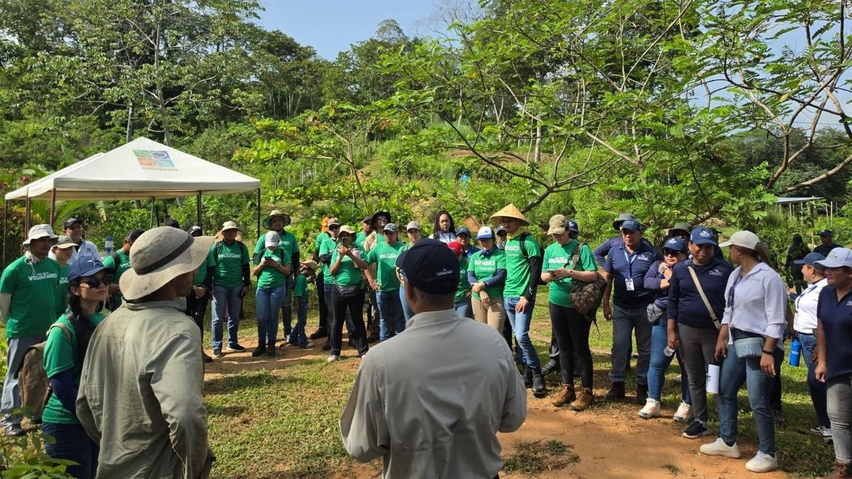 MiAMBIENTE y ENSA plantan 600 árboles en Utivé, Pacora