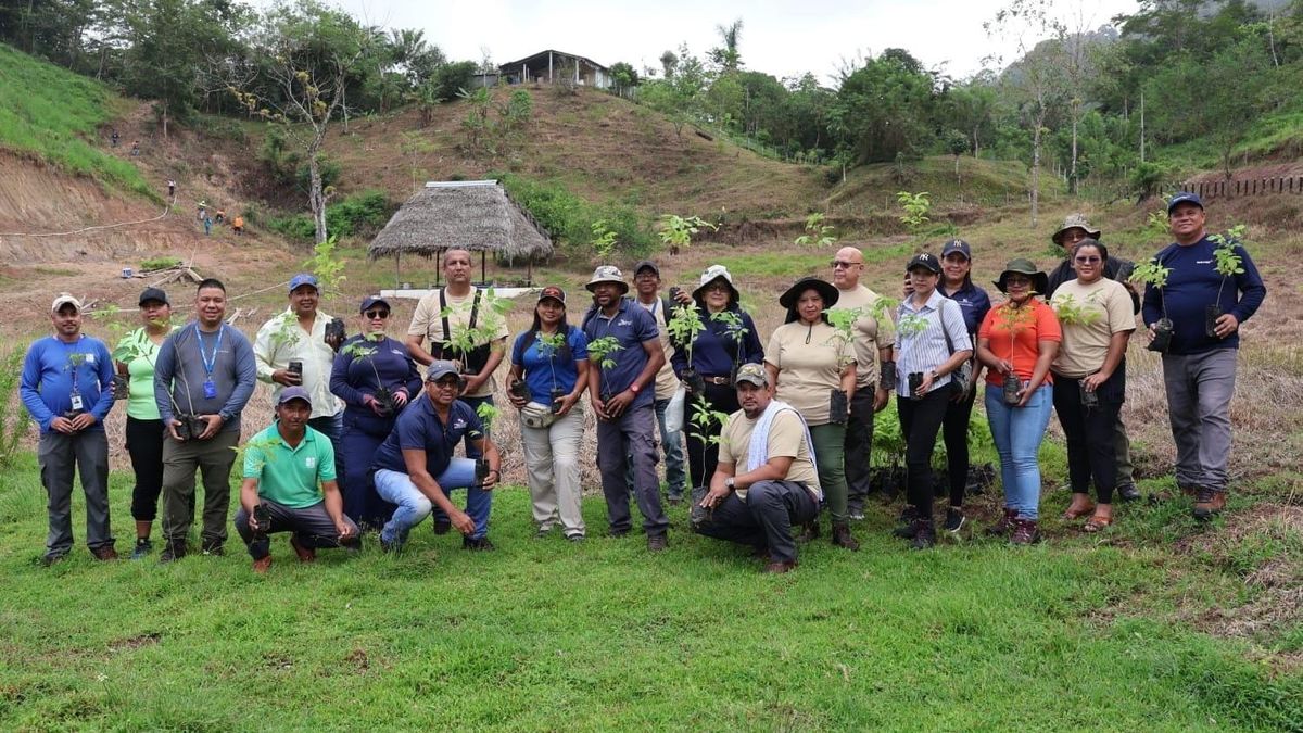 MiAMBIENTE reforesta Cirí Grande en Capira