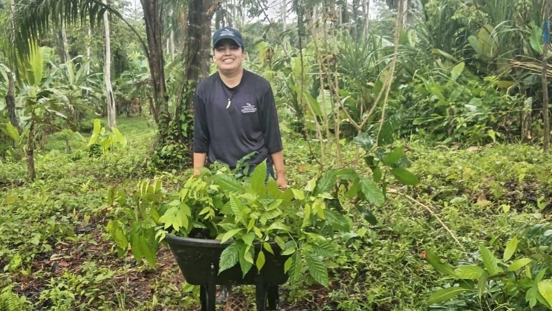 Reforestan Bosque Palo Seco en Bocas con especies nativas
