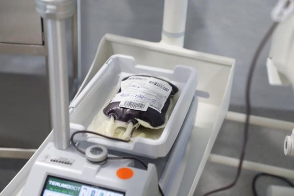 Panamá: Bancos de Sangre en Rojo Vivo