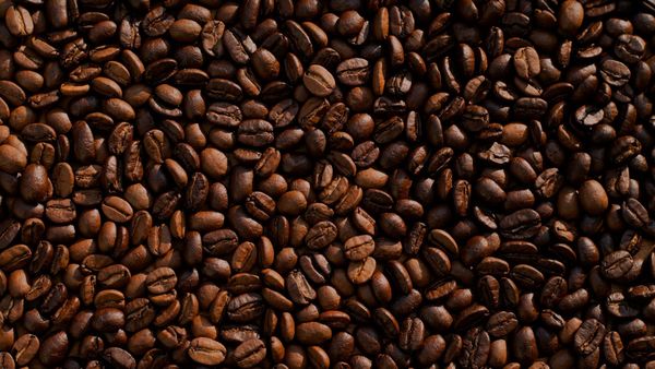 Green Coffee Co. abre ronda de inversión para financiar su camino a la bolsa