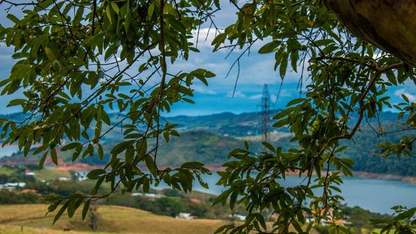 Darién: la reconversión de crisis migratoria a negocio ecoturístico