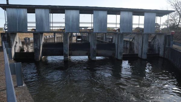 Mulino inaugura sistema de riego en Chiriquí