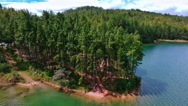 Veraguas: Incendio en Reserva La Yeguada fue extinguido