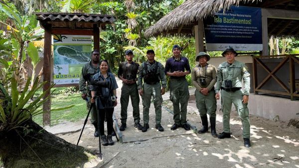 Guardaparques de Bocas se entrenan para monitorear aves