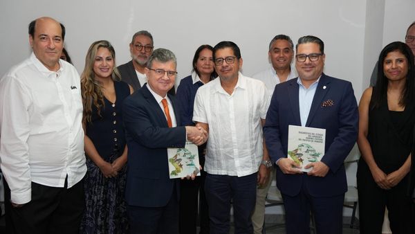Pacífico de Panamá: Estudio alerta sobrepesca