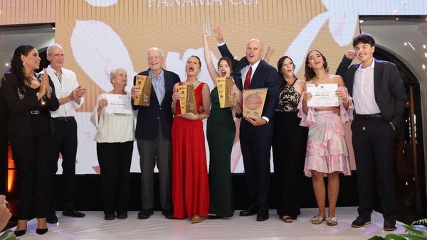 Los nombres detrás de los $152 millones: quién exporta el café de Panamá
