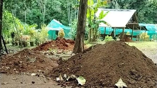 MiAMBIENTE arranca producción de plantones en Arraiján