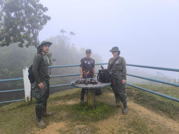 MiAMBIENTE detecta deforestación en Parque Omar Torrijos