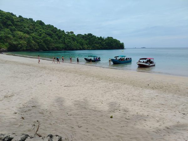 Coiba: Educación ambiental para visitantes y estudiantes