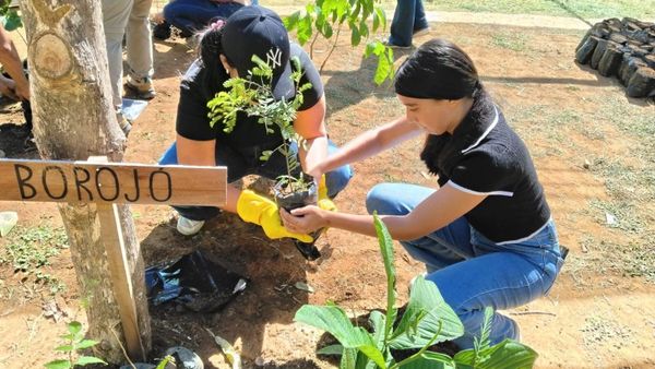 MiAMBIENTE y jóvenes reforestarán Los Santos