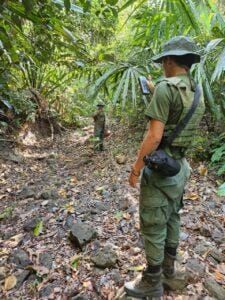Monitorean vida silvestre en Humedal RAMSAR Punta Patiño