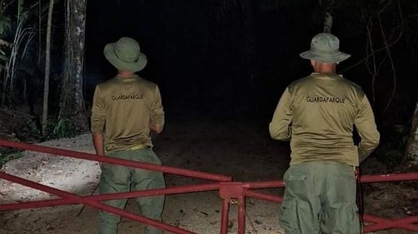 Cacería amenaza Soberanía: guardaparques refuerzan patrullajes