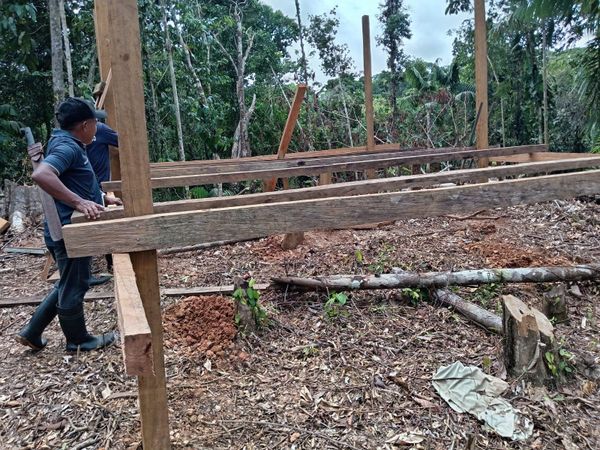 MiAMBIENTE Investiga Tala Ilegal y Vínculo con Minería en Chepo