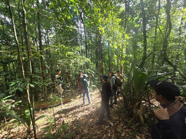 Sierra Llorona: Monitoreo ambiental revela rica fauna en Colón