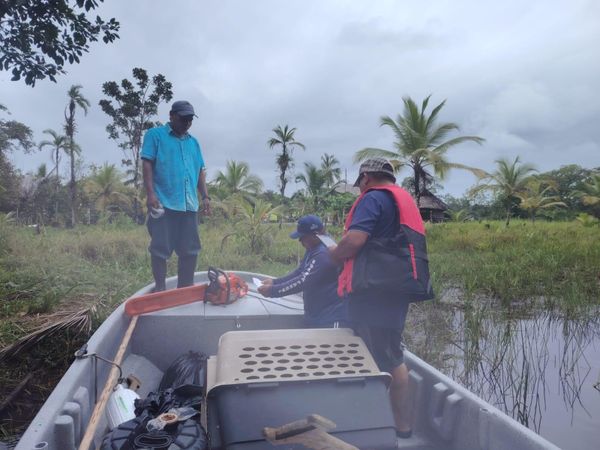 Patrullajes en Damani Guariviara revelan pesca y motosierras
