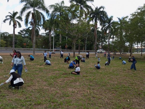 MiAMBIENTE siembra 500 guayacanes en jornada de reforestación