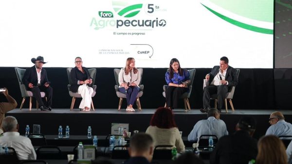ITSE debate futuro de formación agro en Panamá