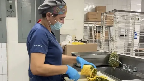Nutrición hospitalaria CSS: Comida para sanar pacientes