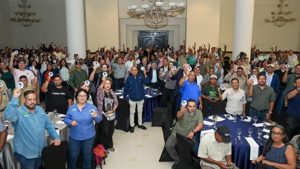 Panamá lidera en conteo de aves mundial