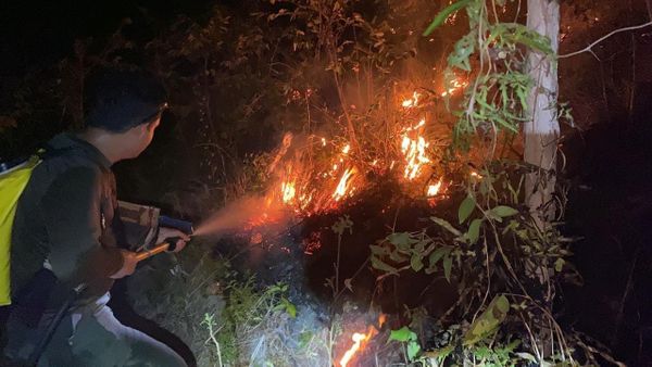Fuego en Cerro Guacamaya, Coclé: Control total