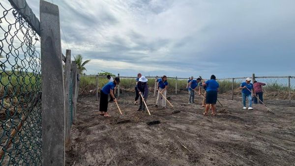 Voluntarios acondicionan vivero de tortugas en Chiriquí