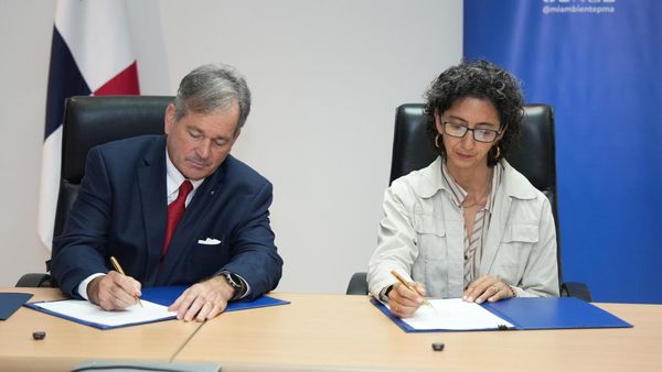 Panamá protege tiburones martillo en el Pacífico