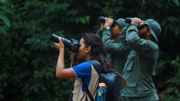 Panamá es líder global en conteo de aves