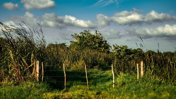 MiAMBIENTE consulta plan para Cerro Canajagua