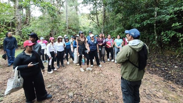 Universitarios exploran biodiversidad en Altos de Campana