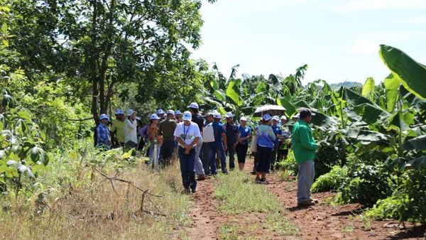 MiAMBIENTE debate manejo de tierras contra sequía en Azuero