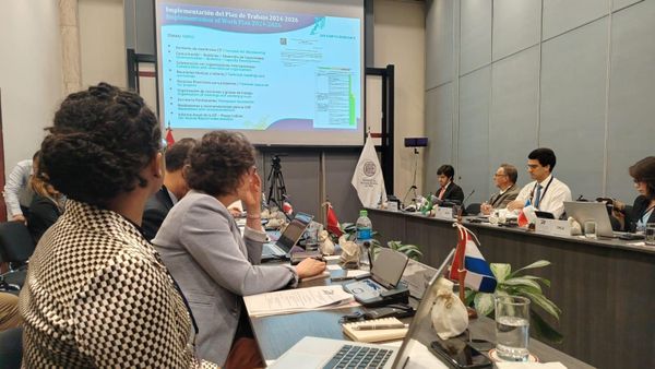 Panamá y la región unen fuerzas por las tortugas marinas