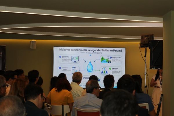 MiAMBIENTE detalla plan hídrico en foro de APEDE