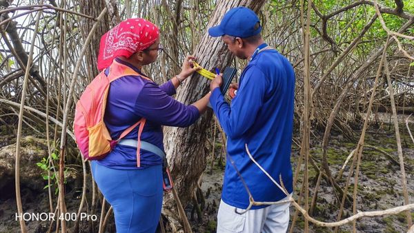 MiAMBIENTE explora costas de Colón para conservación